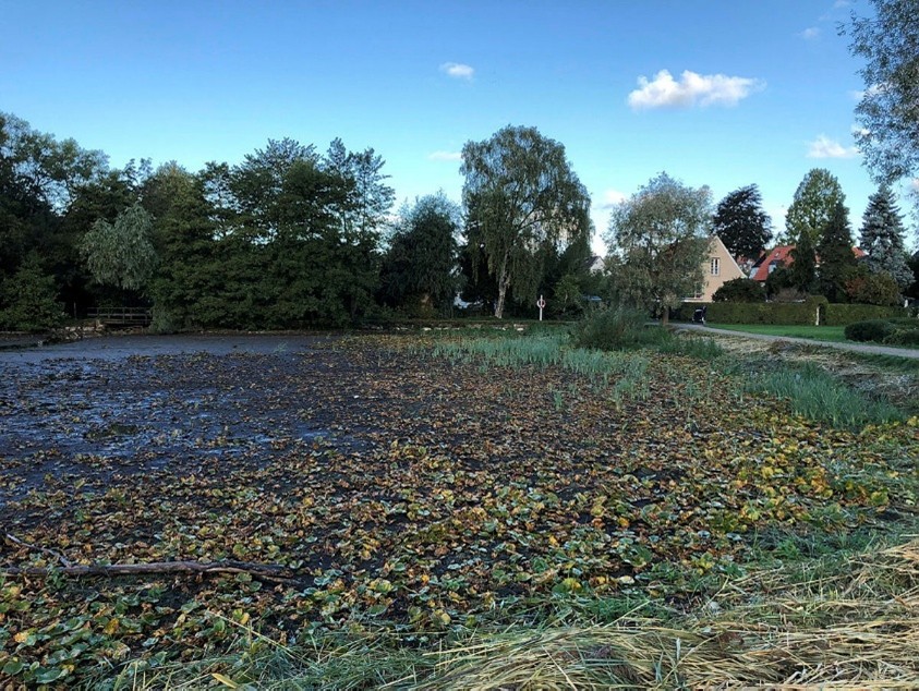 Billede af Gentofte Sø