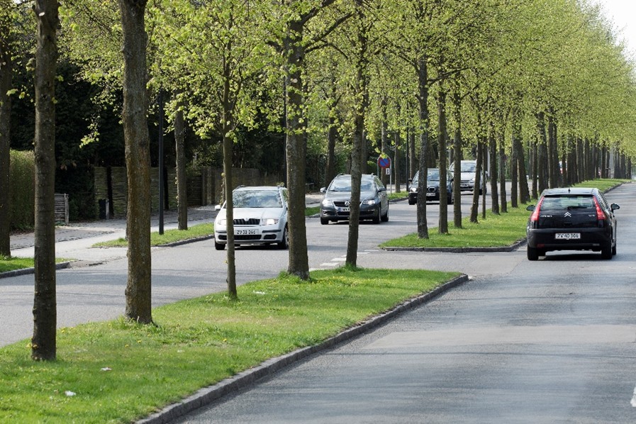 Begrønning – og særligt træerne som her på Jægersborg Allé – har stor effekt, når man fx skal sænke temperaturen i tætbebygget miljø.