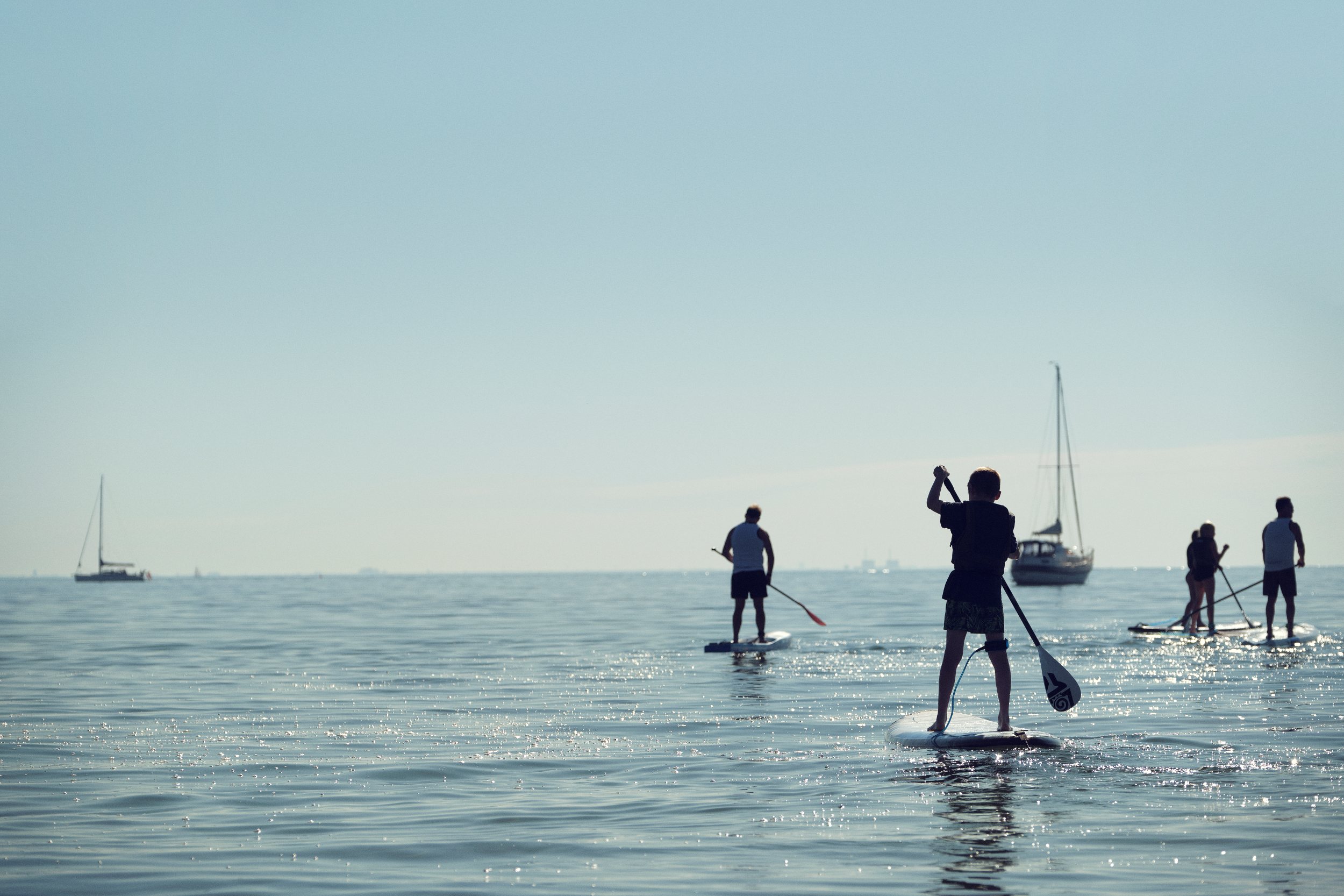 Paddleboards på Øresund